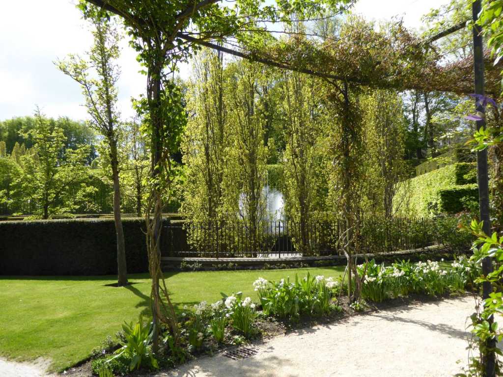 Daffodils in bloom beneath creepers trained up metal poles to form a walkway through gardens with a fountain in the background