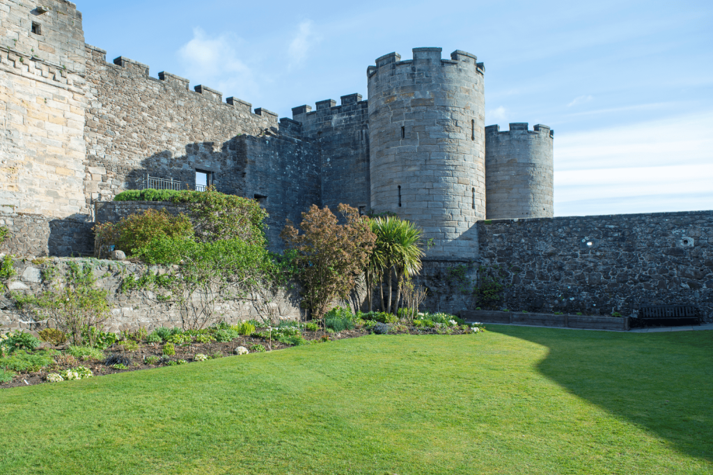 Green lawn and palms in front of stone castle walls with crenellated towers